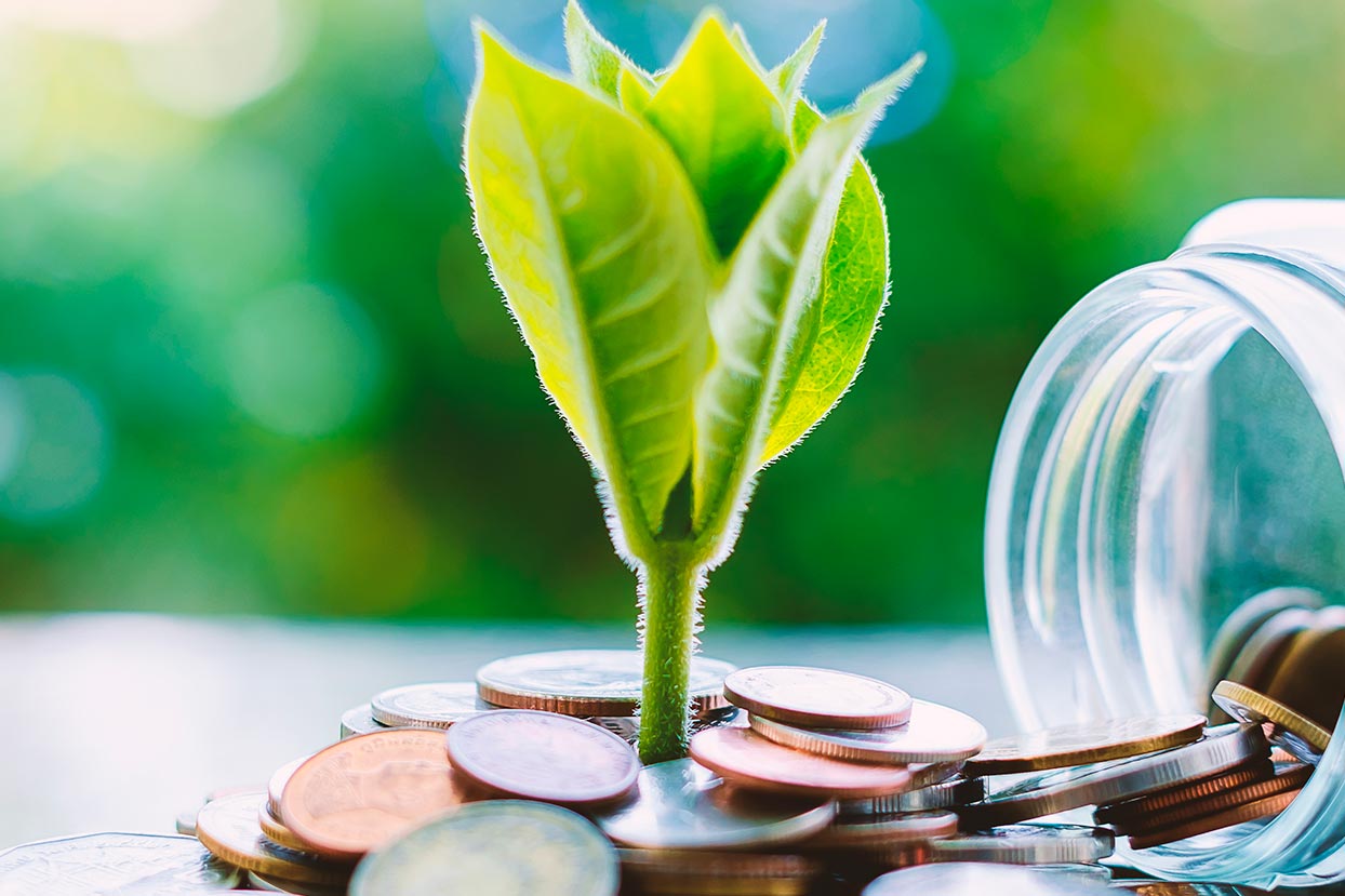 ¿Qué son y cómo funcionan los fondos de inversión sostenible?